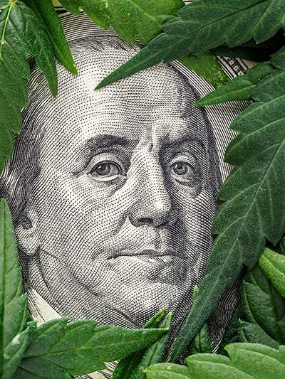 Legality of cannabis, legal and illegal cannabis on the world.Marijuana Cannabis business concept. Medical Marijuana stock market concept. THC CBD Dollar Cannabis Marijuana