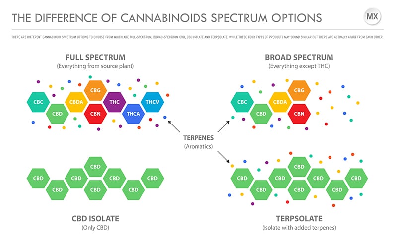 CBD Spectrum Chart